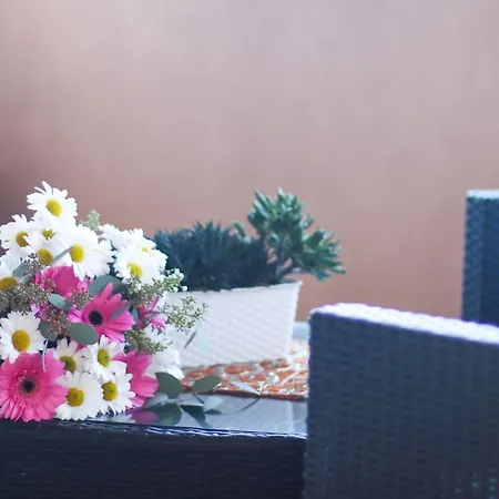 Bed & Breakfast Aurora 3*