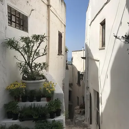 Aurora Bed & Breakfast Bari
