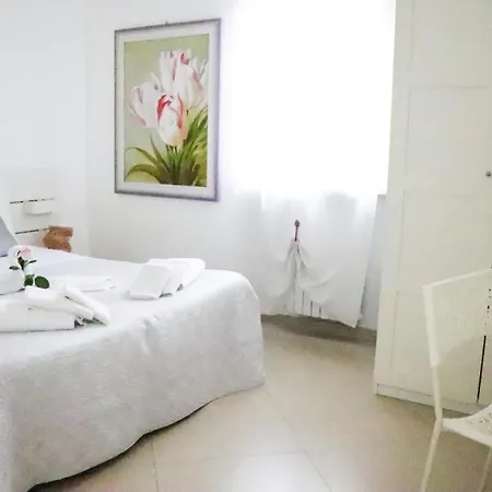 לינה וארוחת בוקר Aurora 3*