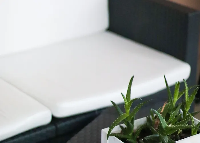 Aurora Bed & Breakfast